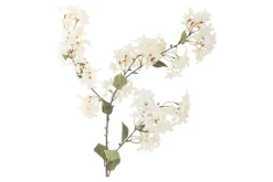 Myrt stilkblomst