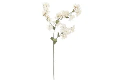 Myrt stilkblomst