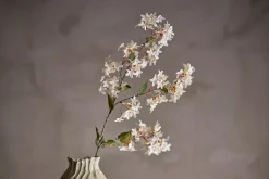 Myrt stilkblomst