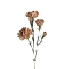 Nellik stilkblomst