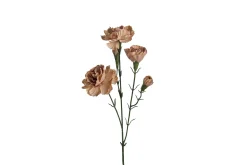 Nellik stilkblomst