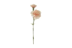 Nellik stilkblomst