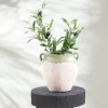 Neva vase/krukke