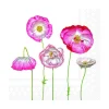Pale poppies serviett 20pk