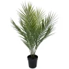 Palme potteplante