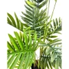 Palme potteplante