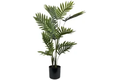 Palme potteplante