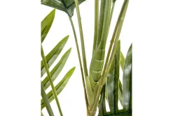 Palme potteplante