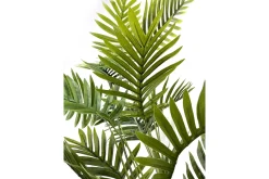 Palme potteplante
