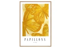 Papillons