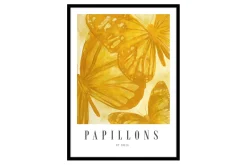 Papillons