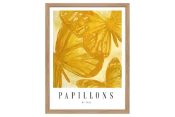 Papillons