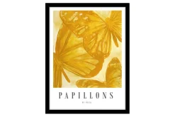 Papillons