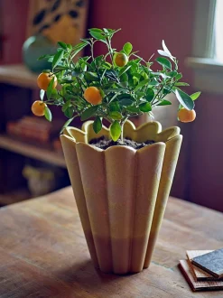 Penn vase