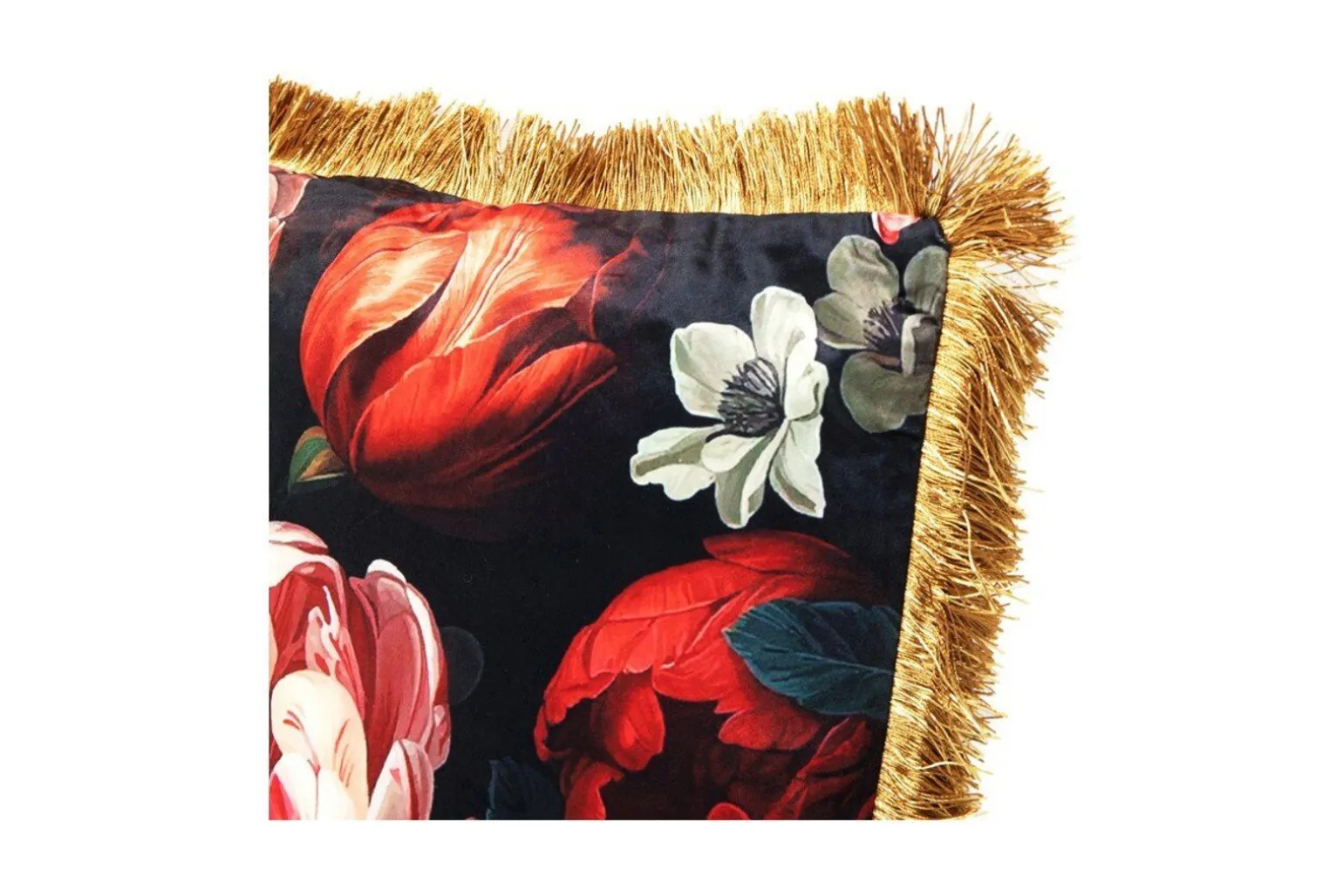 Peonrose pute