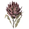 Protea stilkblomst