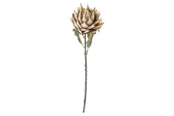 Protea stilkblomst