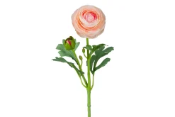 Ranunkel stilkblomst