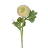 Ranunkel stilkblomst