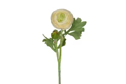 Ranunkel stilkblomst