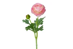 Ranunkel stilkblomst