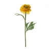 Ranunkel stilkblomst