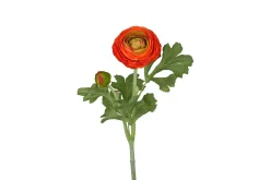 Ranunkel stilkblomst