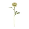 Ranunkel stilkblomst