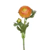 Ranunkel stilkblomst