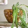 Rokaya blomsterpotte