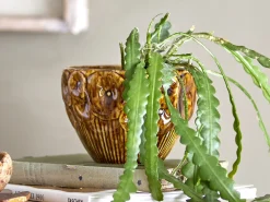 Rokaya blomsterpotte