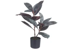 Rubber potteplante