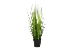 Ås gress potteplante