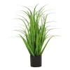 Son gress potteplante