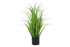 Son gress potteplante