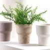 Sow blomsterpotte