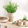 Sow blomsterpotte