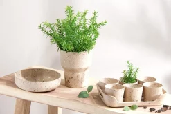 Sow blomsterpotte