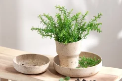 Sow blomsterpotte