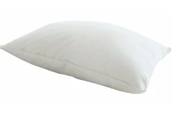TempSmart pute