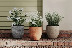 Terre blomsterpotte