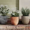 Terre blomsterpotte