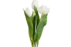 Tulipan stilkblomst mix