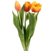 Tulipan stilkblomst mix