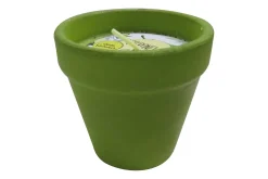 Tuscany citronellalys