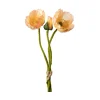 Vallmue stilkblomst