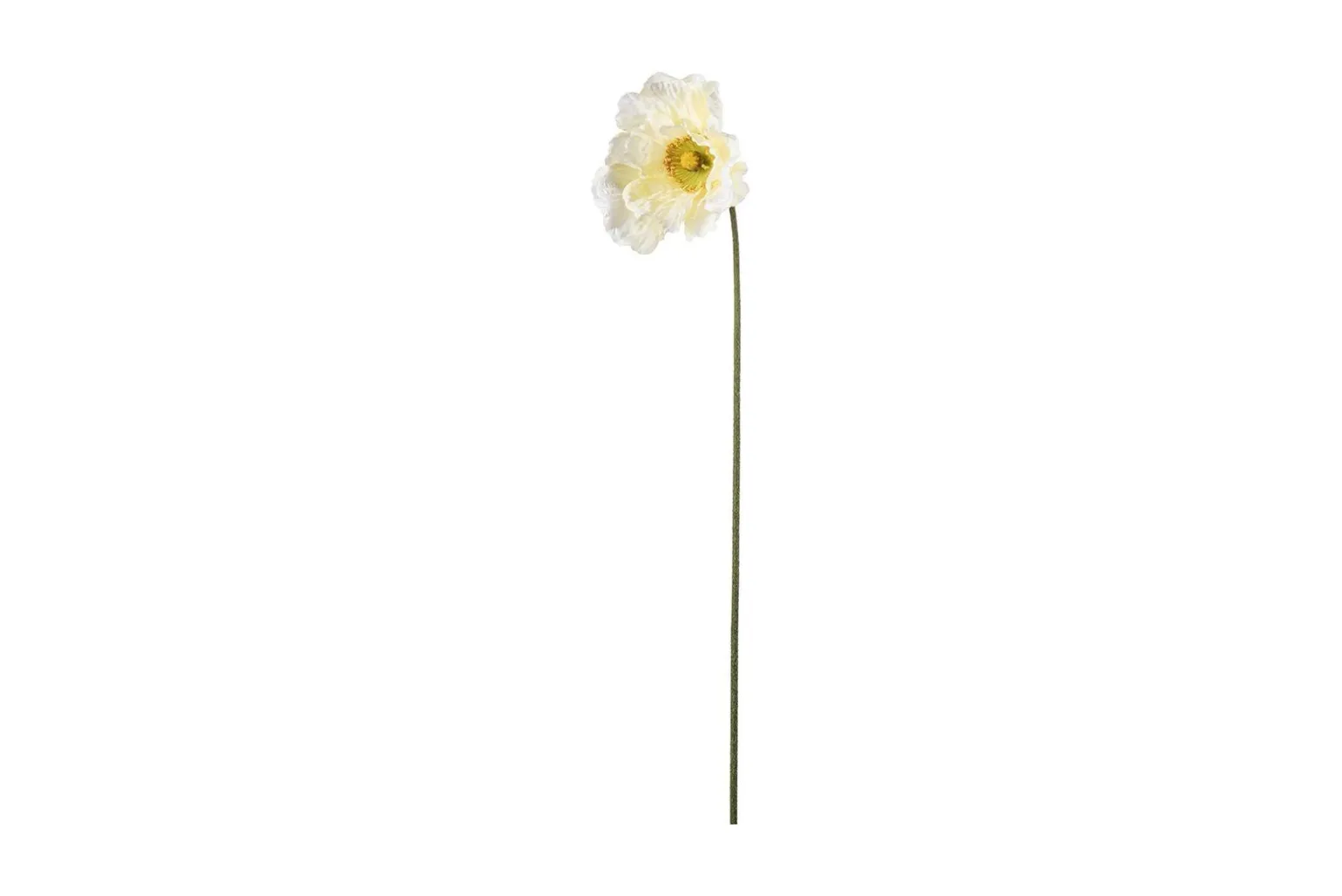 Vallmue stilkblomst