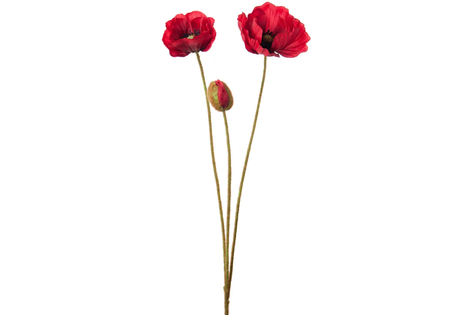 Valmue stilkblomst