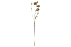 Valmue stilkblomst