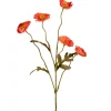 Valmue stilkblomst